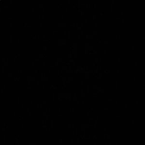 Meet your Posher, Hayden